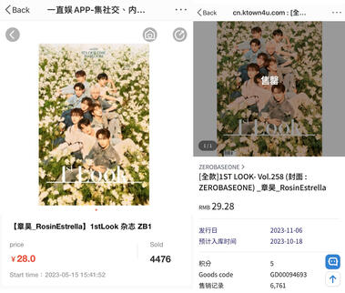 RE 1st Look Magazine