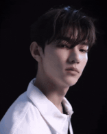 1st Look Moving Cover